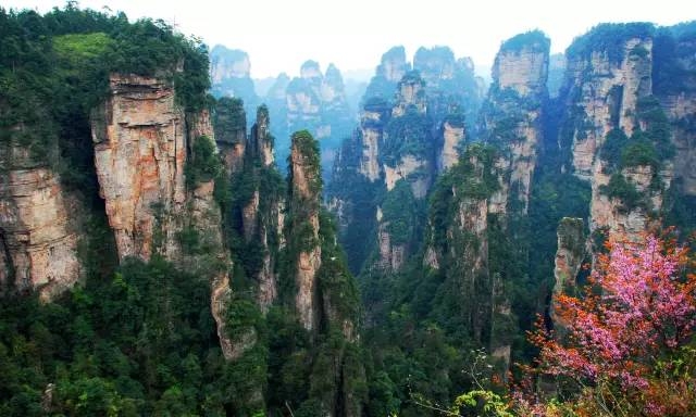 張家界三月旅游攻略，張家界春季旅游攻略，三月去張家界旅游注意事項(xiàng)