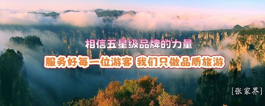 張家界中國旅行社連續(xù)榮膺“五星級(jí)旅行社”